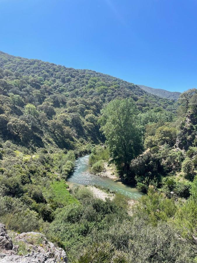 Villa El Mirador Cortes de la Frontera Εξωτερικό φωτογραφία